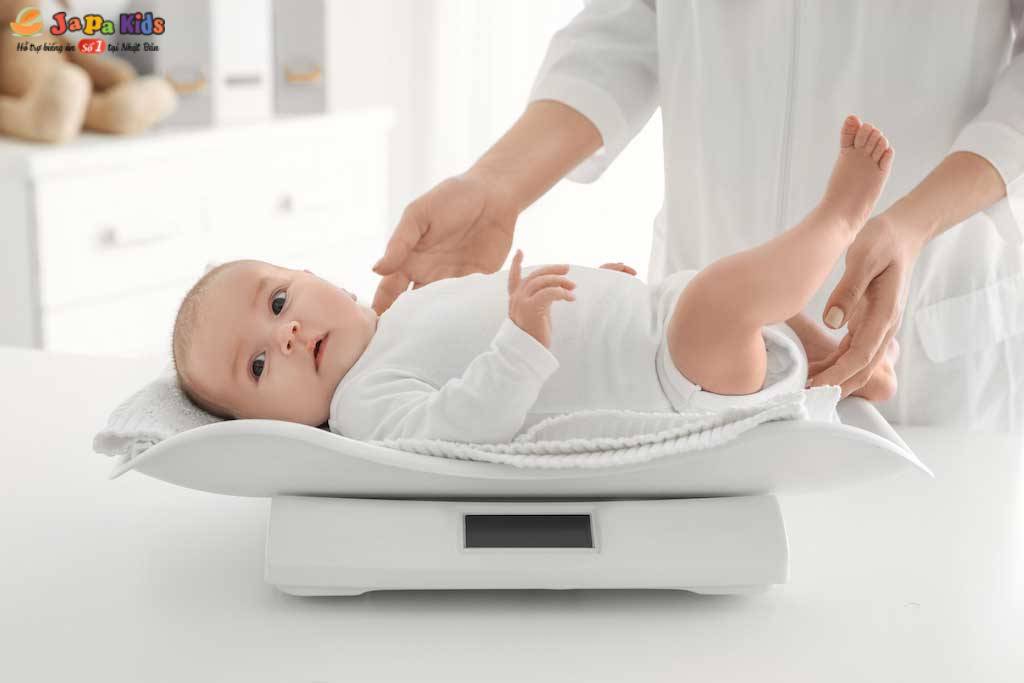 thực phẩm giúp bé tăng cân